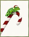 Click image for larger version

Name:	bullaswill-candycanecroaker-sj.jpg
Views:	290
Size:	118.4 KB
ID:	9018694