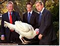 Click image for larger version

Name:	bush_turkey.jpg
Views:	213
Size:	45.9 KB
ID:	9018804