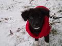 Click image for larger version

Name:	wyatt2005 062-600.jpg
Views:	179
Size:	65.9 KB
ID:	9018882