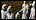Click image for larger version

Name:	terracota.gif
Views:	329
Size:	1.4 KB
ID:	9018990