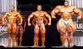 Click image for larger version

Name:	muscles.jpg
Views:	148
Size:	55.6 KB
ID:	9019222