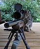 Click image for larger version

Name:	shrunk_kitty.jpg
Views:	136
Size:	33.1 KB
ID:	9019278