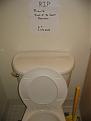Click image for larger version

Name:	img_1889-1.jpg
Views:	108
Size:	90.9 KB
ID:	9019642