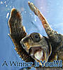 Click image for larger version

Name:	1136624898570.jpg
Views:	156
Size:	137.0 KB
ID:	9020040