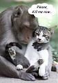 Click image for larger version

Name:	kill-me-now1.jpg
Views:	137
Size:	12.9 KB
ID:	9020867