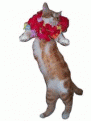 Click image for larger version

Name:	yeamau.gif
Views:	228
Size:	127.1 KB
ID:	9021079