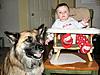 Click image for larger version

Name:	josieandbuddy2.jpg
Views:	218
Size:	37.4 KB
ID:	9021107