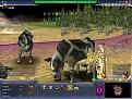 Click image for larger version

Name:	cow.jpg
Views:	116
Size:	89.9 KB
ID:	9021285