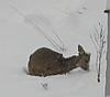 Click image for larger version

Name:	img_0407_s.jpg
Views:	146
Size:	49.0 KB
ID:	9021549