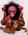 Click image for larger version

Name:	troll02.gif
Views:	148
Size:	39.6 KB
ID:	9021829