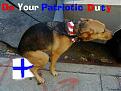 Click image for larger version

Name:	finn_poop.jpg
Views:	129
Size:	38.1 KB
ID:	9021844