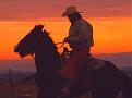 Click image for larger version

Name:	cowboy%20at%20sunset.jpg
Views:	124
Size:	33.7 KB
ID:	9021864