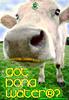 Click image for larger version

Name:	bong water cow2.jpg
Views:	141
Size:	20.6 KB
ID:	9021878