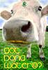 Click image for larger version

Name:	bong water cow2.jpg
Views:	142
Size:	20.6 KB
ID:	9021878