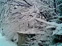Click image for larger version

Name:	winter1.jpg
Views:	240
Size:	77.9 KB
ID:	9022664