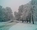 Click image for larger version

Name:	winter2.jpg
Views:	244
Size:	43.6 KB
ID:	9022665