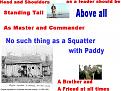 Click image for larger version

Name:	poly prince paddy.jpg
Views:	336
Size:	111.1 KB
ID:	9022802