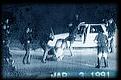 Click image for larger version

Name:	rodneyking.jpg
Views:	221
Size:	18.2 KB
ID:	9023037