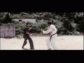 Click image for larger version

Name:	bruce-lee.gif
Views:	62
Size:	577.0 KB
ID:	9026400