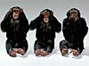 Click image for larger version

Name:	the%203%20monkeys.jpg
Views:	217
Size:	60.9 KB
ID:	9026708