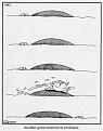 Click image for larger version

Name:	larson2.jpg
Views:	139
Size:	15.5 KB
ID:	9026810