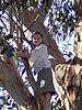 Click image for larger version

Name:	ellen in tree ii.jpg
Views:	200
Size:	82.6 KB
ID:	9026901