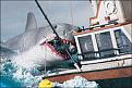 Click image for larger version

Name:	jaws.jpg
Views:	214
Size:	41.2 KB
ID:	9027202
