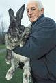Click image for larger version

Name:	rabbit-12.jpg
Views:	88
Size:	60.3 KB
ID:	9027649