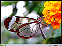 Click image for larger version

Name:	desktop.jpg
Views:	143
Size:	309.6 KB
ID:	9027867