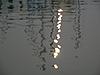 Click image for larger version

Name:	evening-reflections-03.jpg
Views:	89
Size:	25.6 KB
ID:	9028178