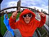 Click image for larger version

Name:	beastie_boys2-37.jpg
Views:	113
Size:	45.3 KB
ID:	9029040