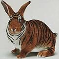 Click image for larger version

Name:	animal051.jpg
Views:	142
Size:	8.6 KB
ID:	9029309