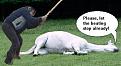 Click image for larger version

Name:	beat_dead_horse.jpg
Views:	226
Size:	17.1 KB
ID:	9029611