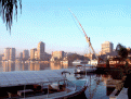 Click image for larger version

Name:	montreal.gif
Views:	125
Size:	218.2 KB
ID:	9037015