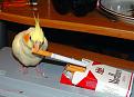 Click image for larger version

Name:	060510_bird.jpg
Views:	444
Size:	53.1 KB
ID:	9037389