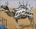 Click image for larger version

Name:	pimp-my-camel.jpg
Views:	389
Size:	90.3 KB
ID:	9037690