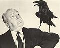 Click image for larger version

Name:	hitchcock.jpg
Views:	106
Size:	17.5 KB
ID:	9037837