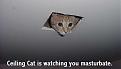 Click image for larger version

Name:	ceiling_cat_00.jpg
Views:	143
Size:	20.0 KB
ID:	9037996