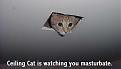 Click image for larger version

Name:	ceiling_cat_00.jpg
Views:	131
Size:	20.0 KB
ID:	9037996