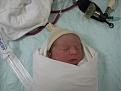 Click image for larger version

Name:	img_1004_1_1.jpg
Views:	221
Size:	48.1 KB
ID:	9038200