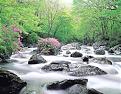 Click image for larger version

Name:	upper ko river.jpg
Views:	285
Size:	28.7 KB
ID:	9038932