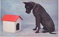 Click image for larger version

Name:	doghouse2.jpg
Views:	72
Size:	148.1 KB
ID:	9039266