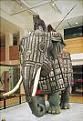 Click image for larger version

Name:	elephant armour.jpg
Views:	104
Size:	13.2 KB
ID:	9042897