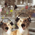 Click image for larger version

Name:	att00022.gif
Views:	92
Size:	71.1 KB
ID:	9043493