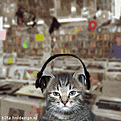 Click image for larger version

Name:	att00025.gif
Views:	73
Size:	197.4 KB
ID:	9043506