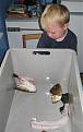 Click image for larger version

Name:	img_1273_s.jpg
Views:	229
Size:	66.1 KB
ID:	9043603