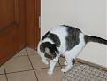 Click image for larger version

Name:	img_0010.jpg
Views:	211
Size:	55.2 KB
ID:	9044460
