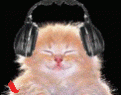 Click image for larger version

Name:	6ive3m.gif
Views:	244
Size:	33.9 KB
ID:	9044591