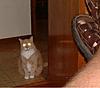 Click image for larger version

Name:	feed me.jpg
Views:	268
Size:	25.7 KB
ID:	9044603