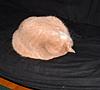 Click image for larger version

Name:	pumpkin_06.jpg
Views:	262
Size:	36.8 KB
ID:	9044604